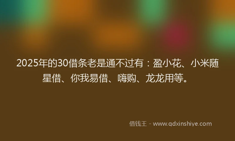 2025年的30借条老是通不过有：盈小花、小米随星借、你我易借、嗨购、龙龙用等。
