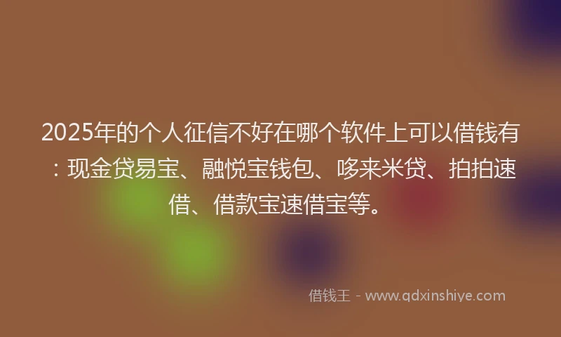 2025年的个人征信不好在哪个软件上可以借钱有：现金贷易宝、融悦宝钱包、哆来米贷、拍拍速借、借款宝速借宝等。