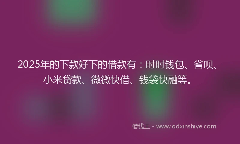 2025年的下款好下的借款有：时时钱包、省呗、小米贷款、微微快借、钱袋快融等。