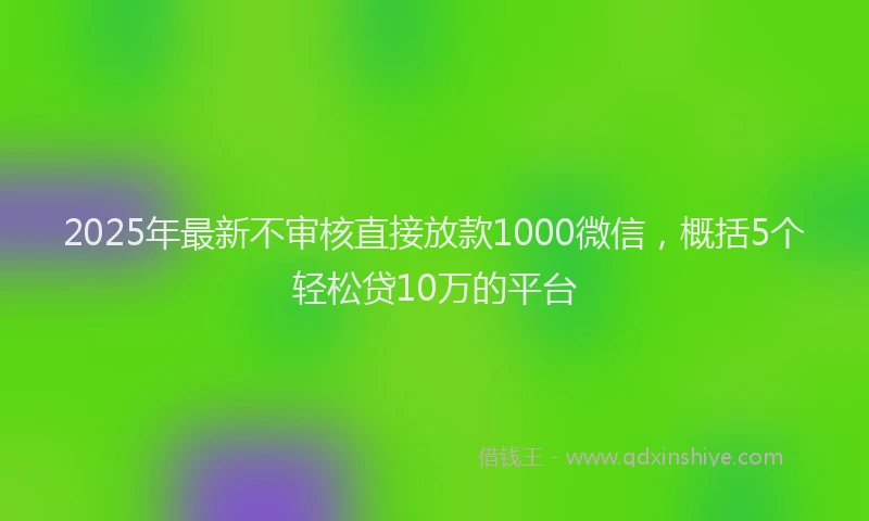 2025年最新不审核直接放款1000微信，概括5个轻松贷10万的平台