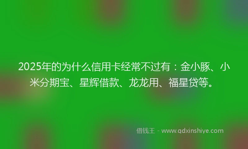 2025年的为什么信用卡经常不过有：金小豚、小米分期宝、星辉借款、龙龙用、福星贷等。