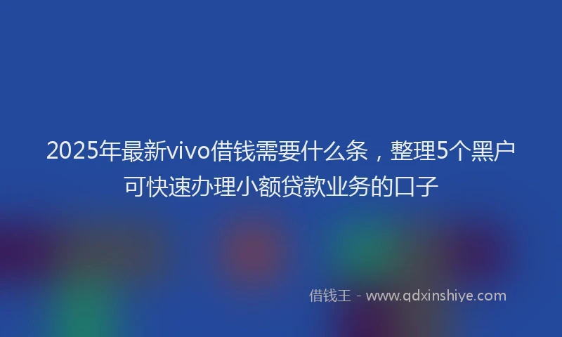 2025年最新vivo借钱需要什么条，整理5个黑户可快速办理小额贷款业务的口子