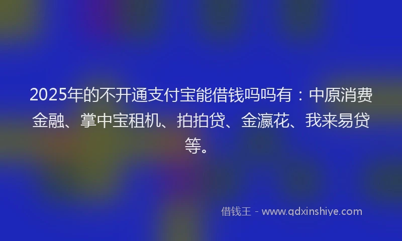 2025年的不开通支付宝能借钱吗吗有：中原消费金融、掌中宝租机、拍拍贷、金瀛花、我来易贷等。