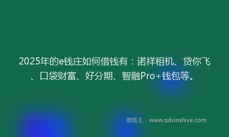 2025年的e钱庄如何借钱有：诺祥租机、贷你飞、口袋财富、好分期、智融Pro+钱包等。