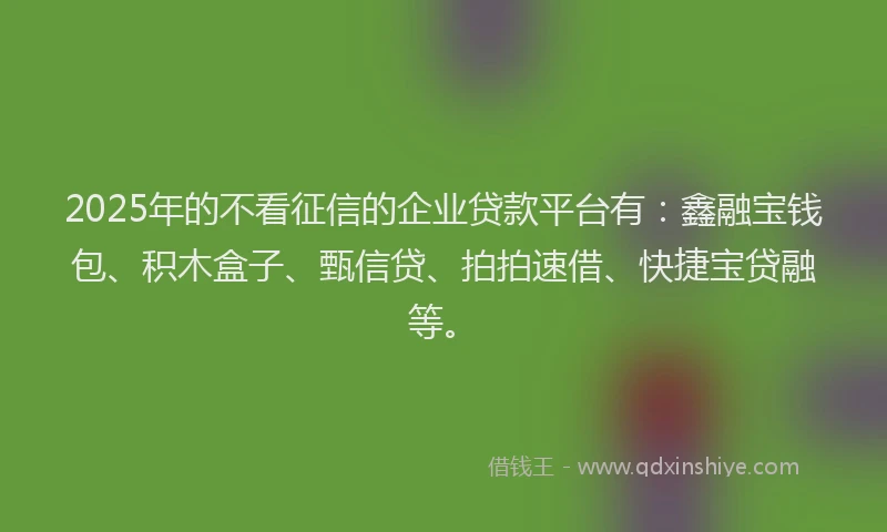 2025年的不看征信的企业贷款平台有：鑫融宝钱包、积木盒子、甄信贷、拍拍速借、快捷宝贷融等。