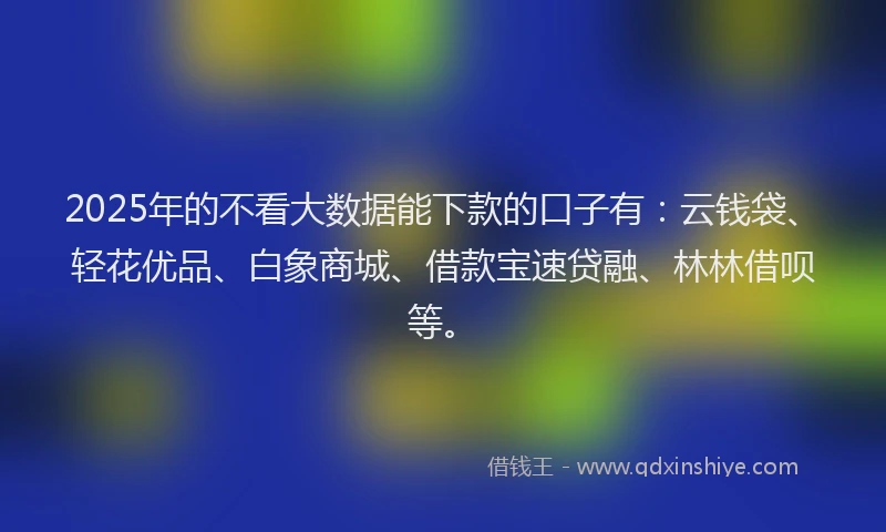 2025年的不看大数据能下款的口子有：云钱袋、轻花优品、白象商城、借款宝速贷融、林林借呗等。