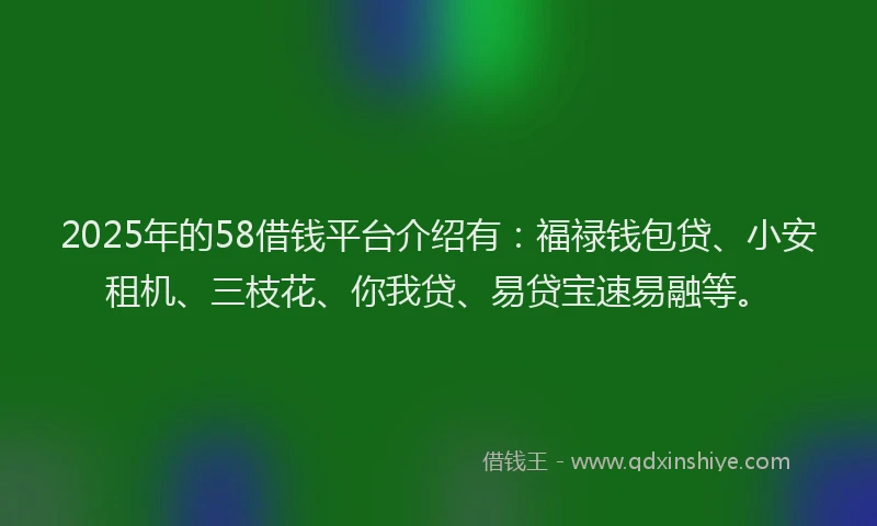 2025年的58借钱平台介绍有：福禄钱包贷、小安租机、三枝花、你我贷、易贷宝速易融等。