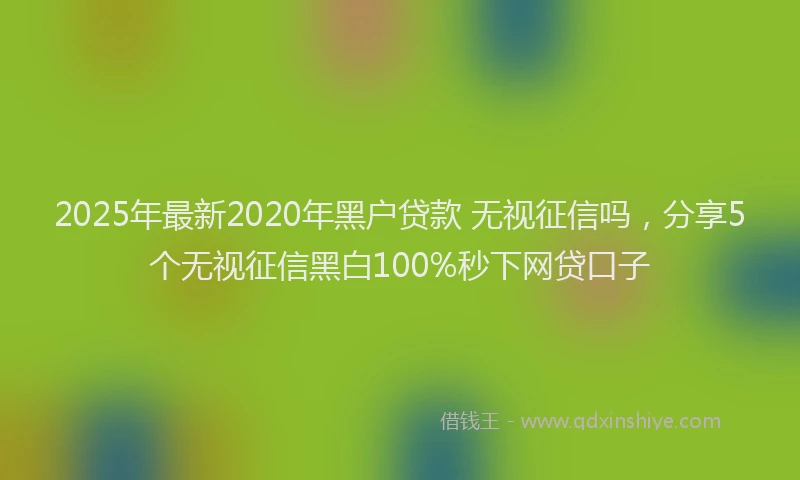 2025年最新2020年黑户贷款 无视征信吗，分享5个无视征信黑白100%秒下网贷口子