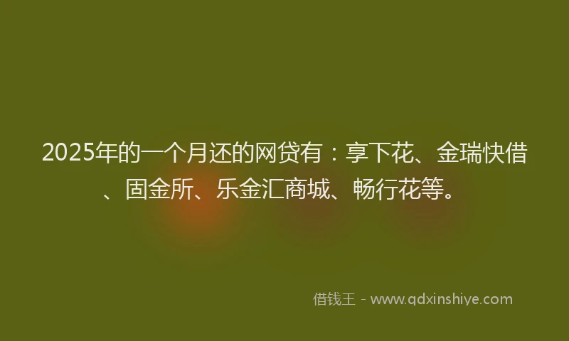 2025年的一个月还的网贷有：享下花、金瑞快借、固金所、乐金汇商城、畅行花等。