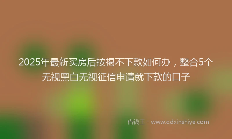 2025年最新买房后按揭不下款如何办，整合5个无视黑白无视征信申请就下款的口子