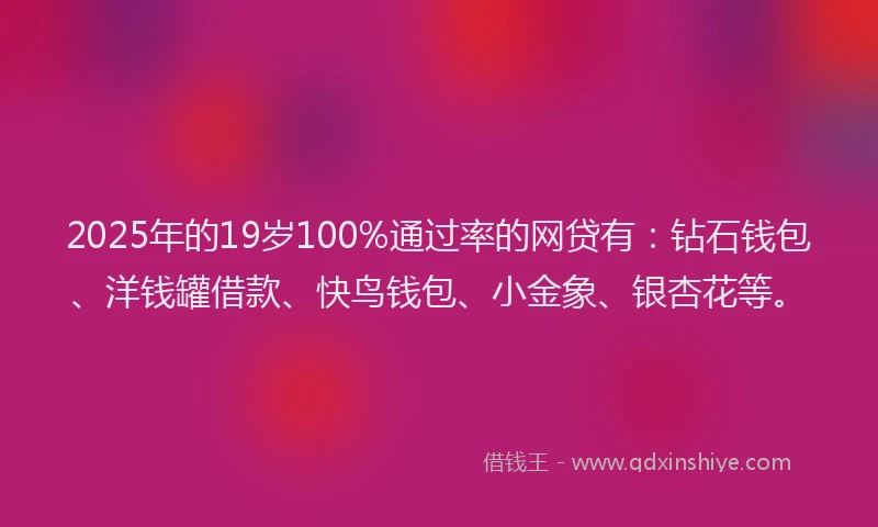 2025年的19岁100%通过率的网贷有：钻石钱包、洋钱罐借款、快鸟钱包、小金象、银杏花等。