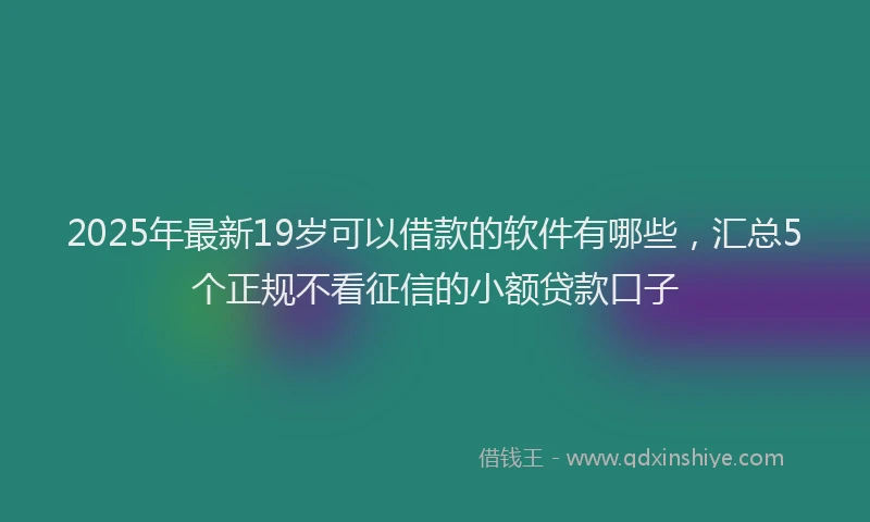 2025年最新19岁可以借款的软件有哪些，汇总5个正规不看征信的小额贷款口子