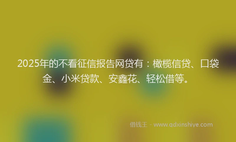 2025年的不看征信报告网贷有：橄榄信贷、口袋金、小米贷款、安鑫花、轻松借等。