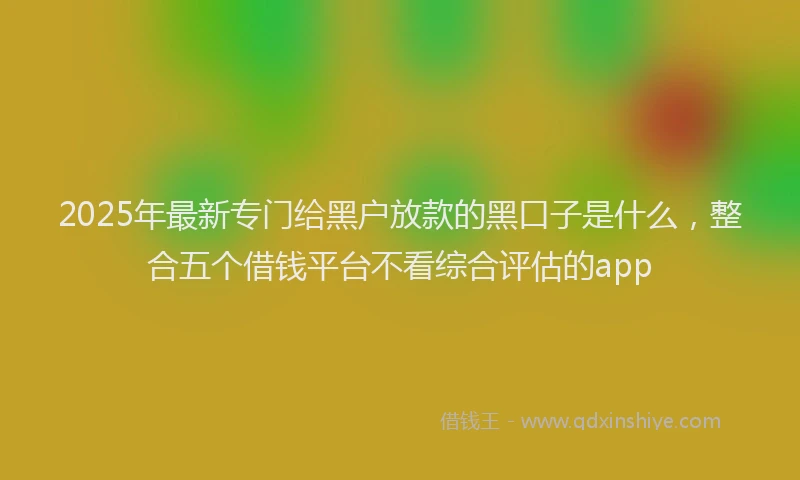 2025年最新专门给黑户放款的黑口子是什么，整合五个借钱平台不看综合评估的app