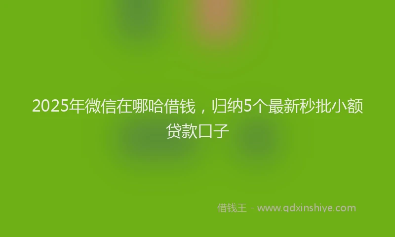 2025年微信在哪哈借钱，归纳5个最新秒批小额贷款口子