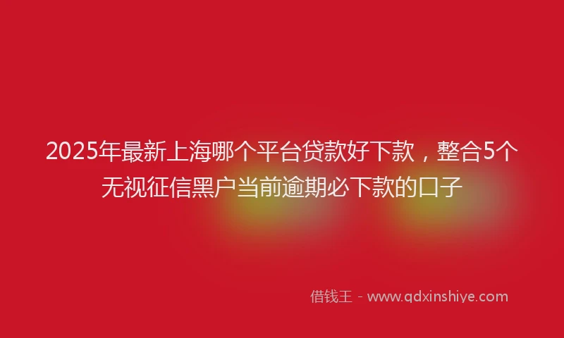 2025年最新上海哪个平台贷款好下款，整合5个无视征信黑户当前逾期必下款的口子