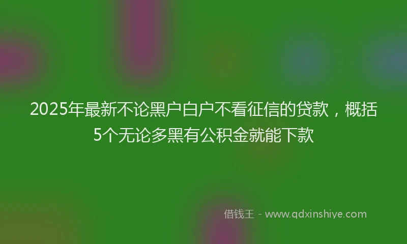 2025年最新不论黑户白户不看征信的贷款，概括5个无论多黑有公积金就能下款