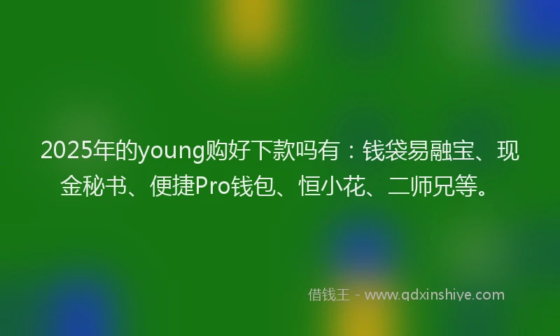 2025年的young购好下款吗有：钱袋易融宝、现金秘书、便捷Pro钱包、恒小花、二师兄等。