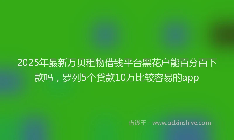 2025年最新万贝租物借钱平台黑花户能百分百下款吗，罗列5个贷款10万比较容易的app