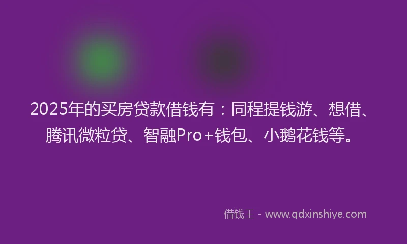 2025年的买房贷款借钱有：同程提钱游、想借、腾讯微粒贷、智融Pro+钱包、小鹅花钱等。