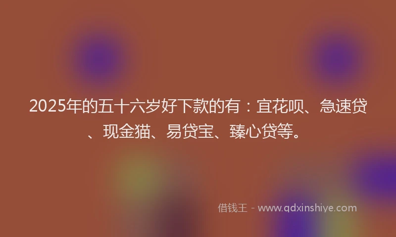 2025年的五十六岁好下款的有：宜花呗、急速贷、现金猫、易贷宝、臻心贷等。