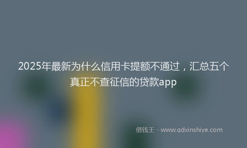 2025年最新为什么信用卡提额不通过，汇总五个真正不查征信的贷款app
