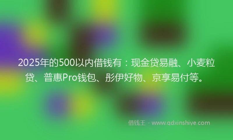 2025年的500以内借钱有：现金贷易融、小麦粒贷、普惠Pro钱包、彤伊好物、京享易付等。
