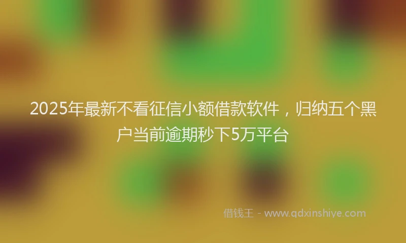 2025年最新不看征信小额借款软件，归纳五个黑户当前逾期秒下5万平台