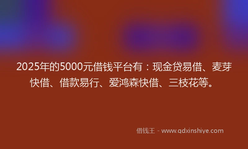 2025年的5000元借钱平台有：现金贷易借、麦芽快借、借款易行、爱鸿森快借、三枝花等。