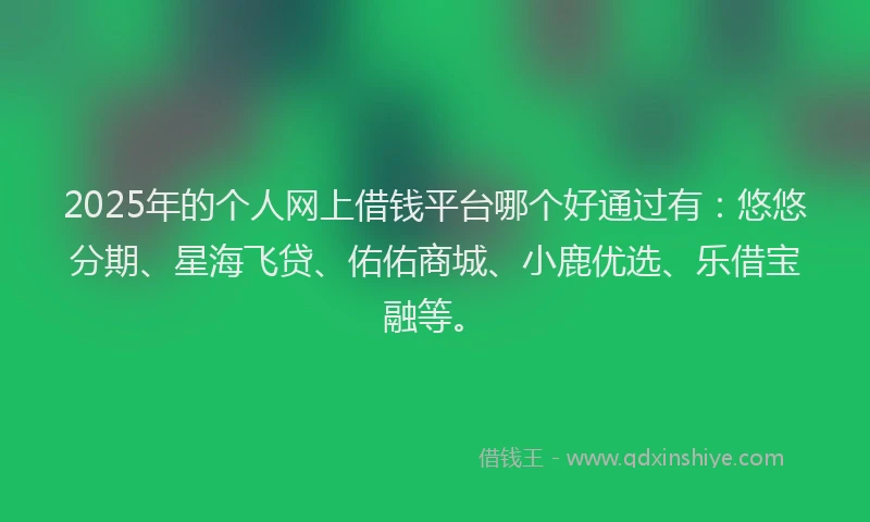 2025年的个人网上借钱平台哪个好通过有：悠悠分期、星海飞贷、佑佑商城、小鹿优选、乐借宝融等。