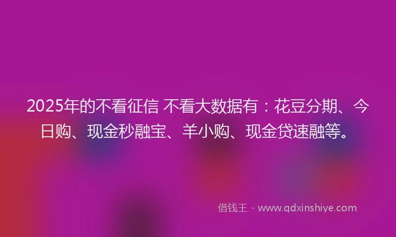 2025年的不看征信 不看大数据有：花豆分期、今日购、现金秒融宝、羊小购、现金贷速融等。