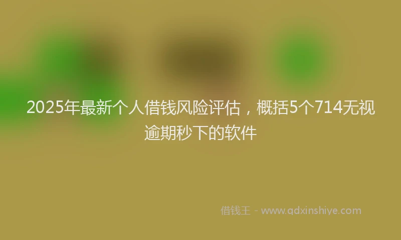 2025年最新个人借钱风险评估，概括5个714无视逾期秒下的软件