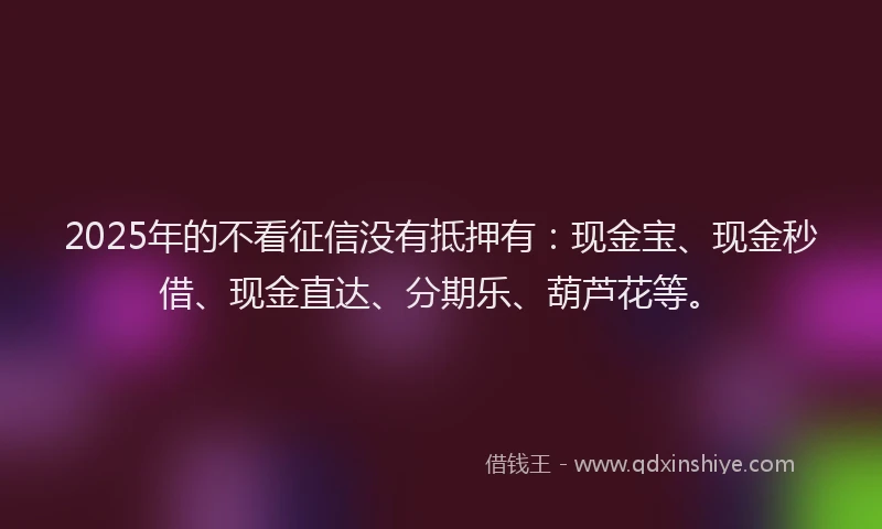 2025年的不看征信没有抵押有：现金宝、现金秒借、现金直达、分期乐、葫芦花等。
