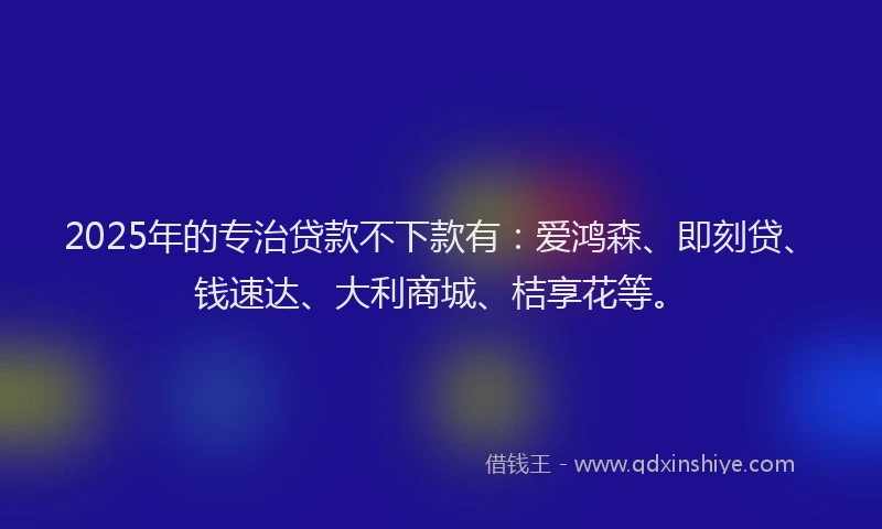 2025年的专治贷款不下款有：爱鸿森、即刻贷、钱速达、大利商城、桔享花等。