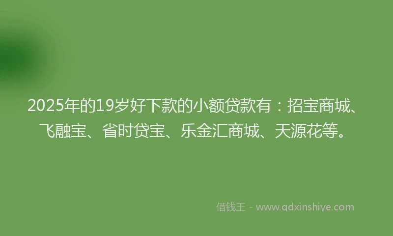 2025年的19岁好下款的小额贷款有：招宝商城、飞融宝、省时贷宝、乐金汇商城、天源花等。