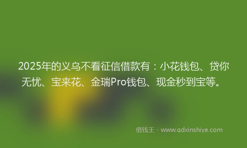2025年的义乌不看征信借款有：小花钱包、贷你无忧、宝来花、金瑞Pro钱包、现金秒到宝等。