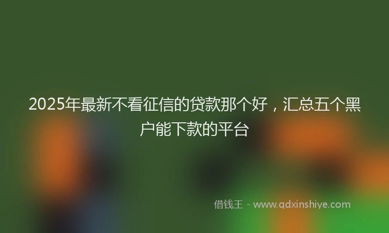2025年最新不看征信的贷款那个好，汇总五个黑户能下款的平台