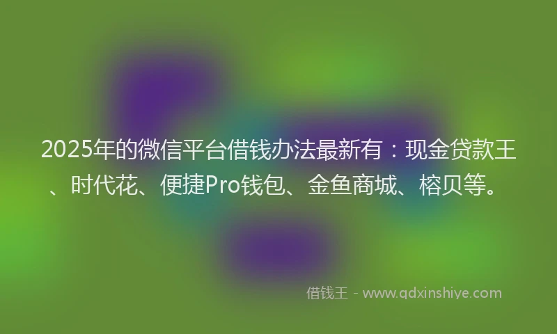 2025年的微信平台借钱办法最新有：现金贷款王、时代花、便捷Pro钱包、金鱼商城、榕贝等。