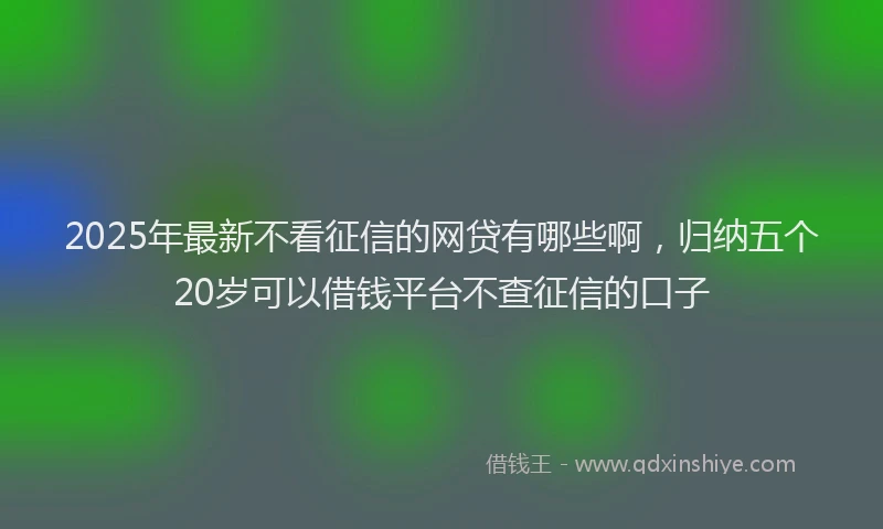 2025年最新不看征信的网贷有哪些啊，归纳五个20岁可以借钱平台不查征信的口子