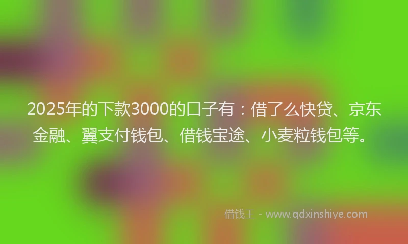 2025年的下款3000的口子有：借了么快贷、京东金融、翼支付钱包、借钱宝途、小麦粒钱包等。