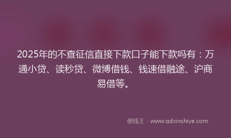 2025年的不查征信直接下款口子能下款吗有：万通小贷、读秒贷、微博借钱、钱速借融途、沪商易借等。
