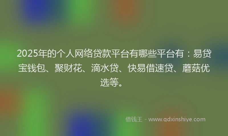 2025年的个人网络贷款平台有哪些平台有：易贷宝钱包、聚财花、滴水贷、快易借速贷、蘑菇优选等。
