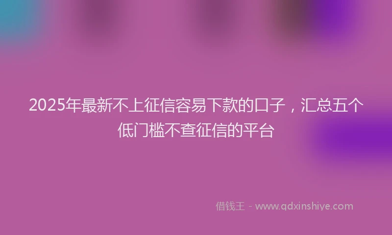 2025年最新不上征信容易下款的口子，汇总五个低门槛不查征信的平台