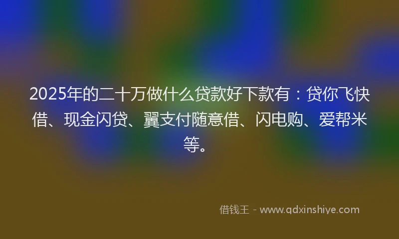 2025年的二十万做什么贷款好下款有：贷你飞快借、现金闪贷、翼支付随意借、闪电购、爱帮米等。