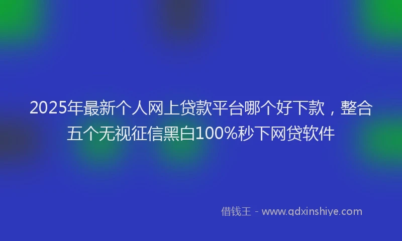 2025年最新个人网上贷款平台哪个好下款，整合五个无视征信黑白100%秒下网贷软件