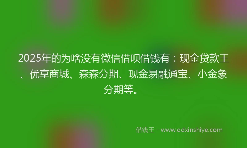 2025年的为啥没有微信借呗借钱有：现金贷款王、优享商城、森森分期、现金易融通宝、小金象分期等。