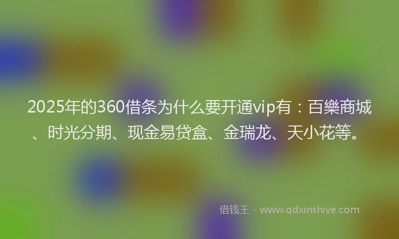 2025年的360借条为什么要开通vip有：百樂商城、时光分期、现金易贷盒、金瑞龙、天小花等。