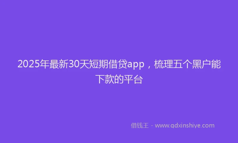 2025年最新30天短期借贷app，梳理五个黑户能下款的平台