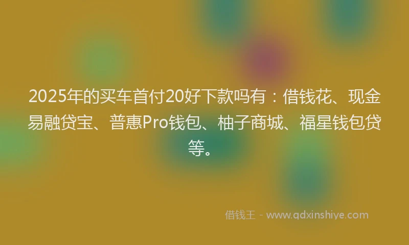 2025年的买车首付20好下款吗有：借钱花、现金易融贷宝、普惠Pro钱包、柚子商城、福星钱包贷等。