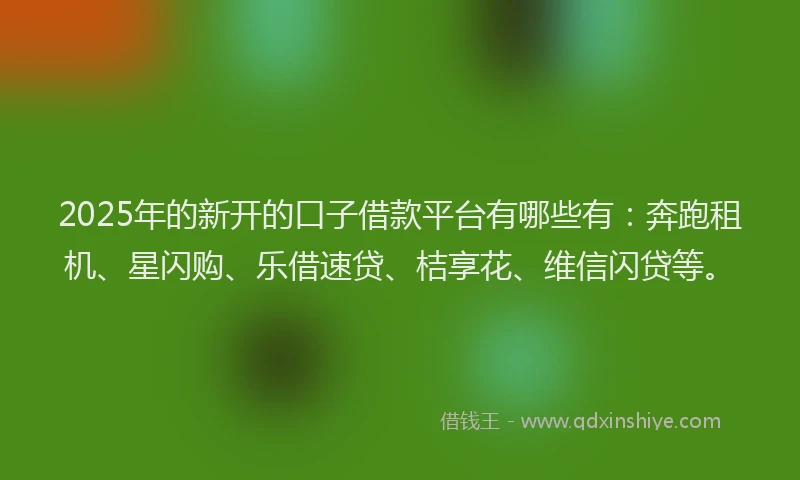 2025年的新开的口子借款平台有哪些有：奔跑租机、星闪购、乐借速贷、桔享花、维信闪贷等。